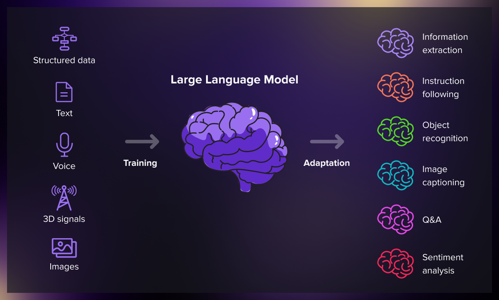 How Does an LLM Learn